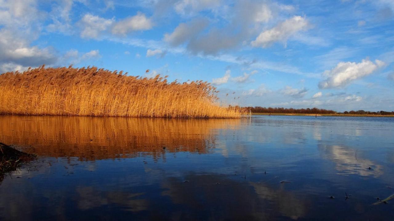 Emilias Hues, Reethaus In Der Bucht Von Wismar Zierow Exteriör bild