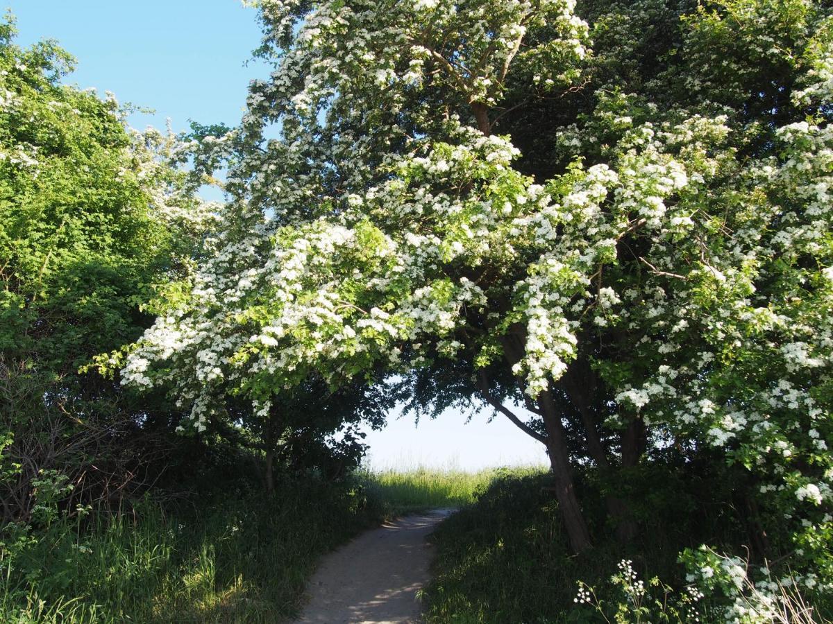 Emilias Hues, Reethaus In Der Bucht Von Wismar Zierow Exteriör bild