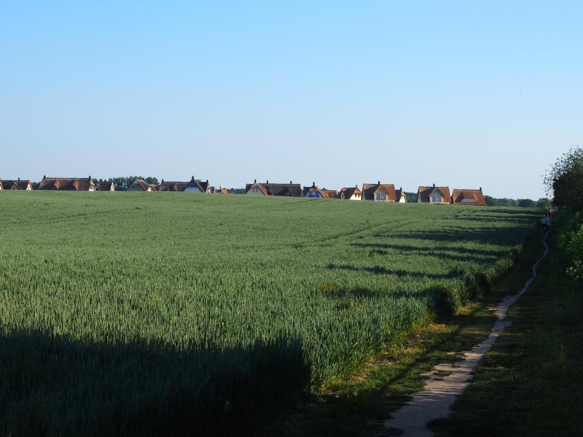 Emilias Hues, Reethaus In Der Bucht Von Wismar Zierow Exteriör bild