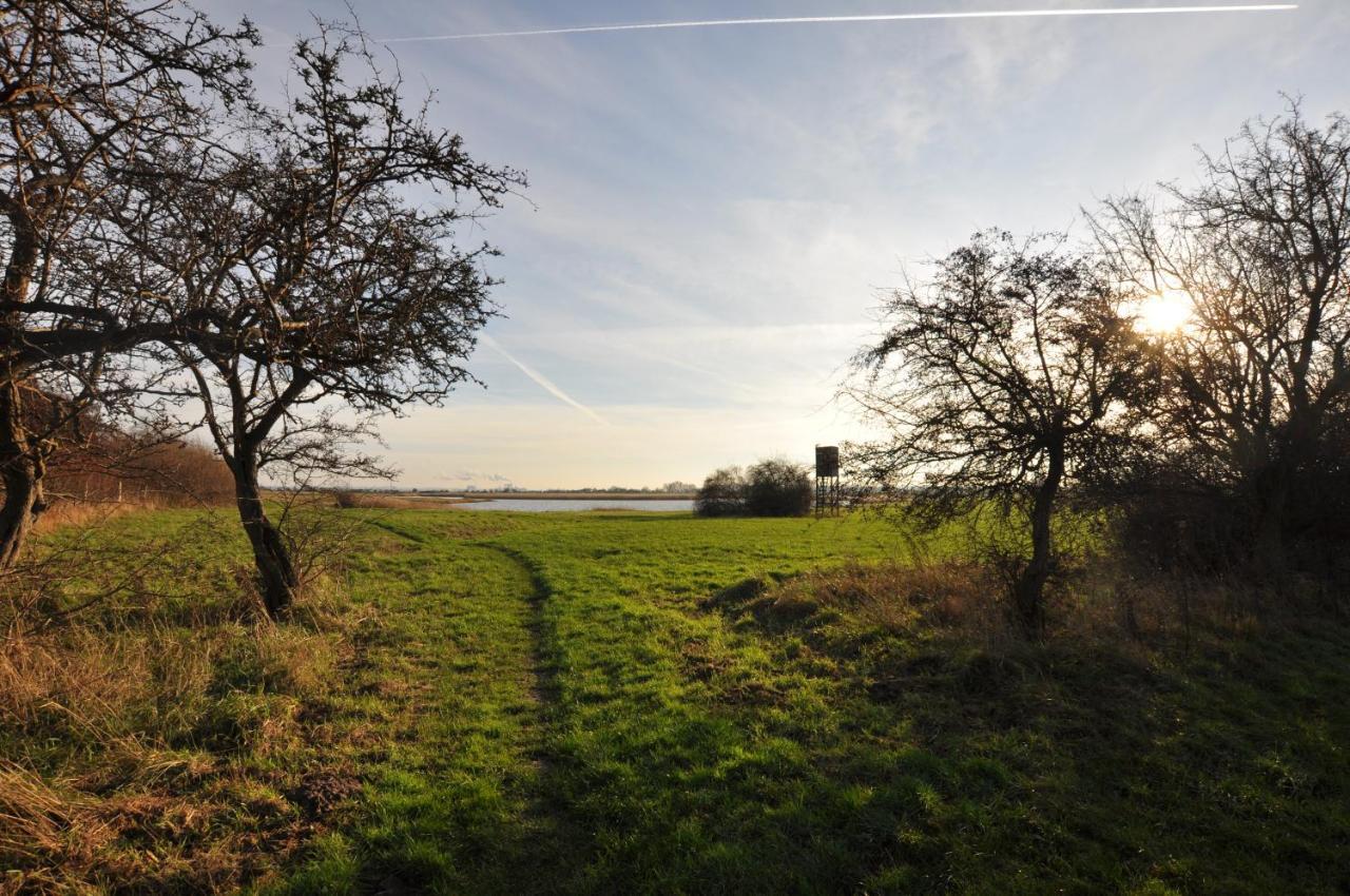 Emilias Hues, Reethaus In Der Bucht Von Wismar Zierow Exteriör bild