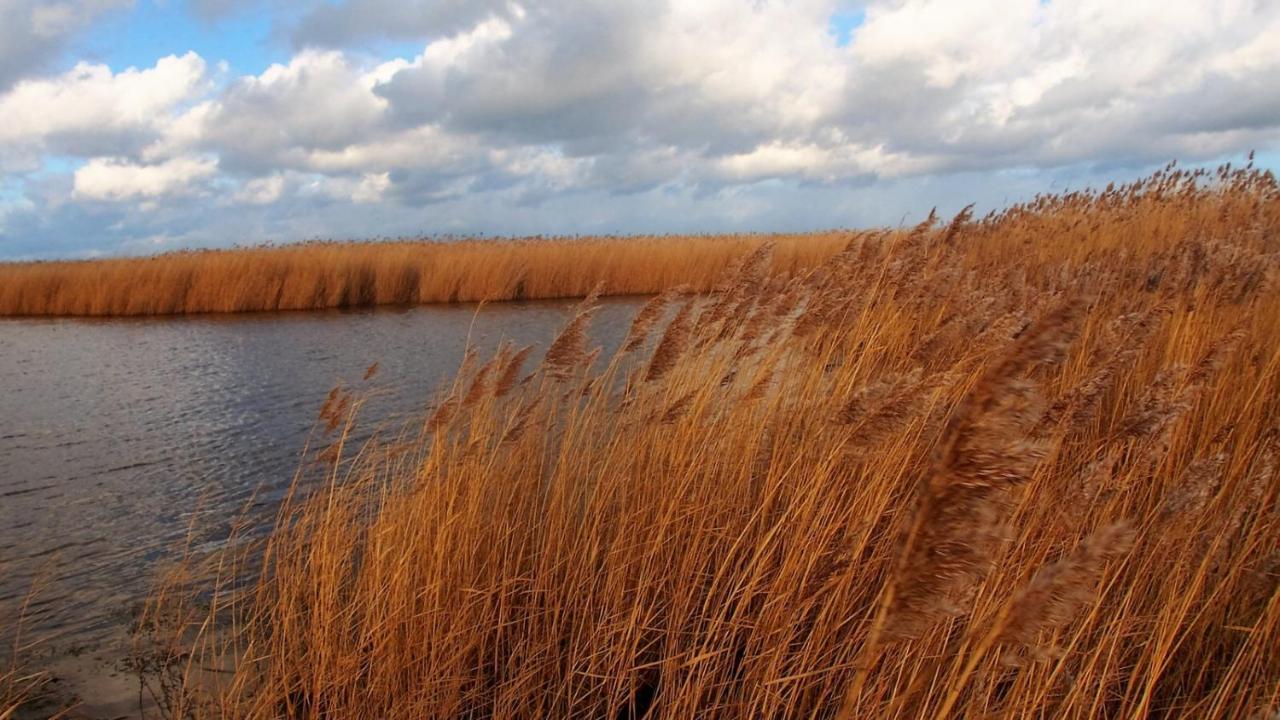 Emilias Hues, Reethaus In Der Bucht Von Wismar Zierow Exteriör bild