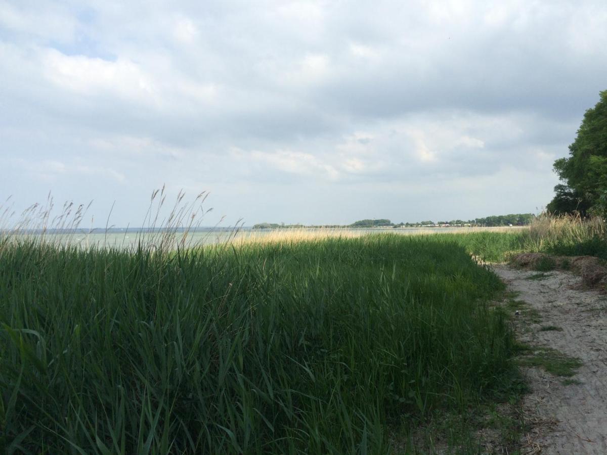 Emilias Hues, Reethaus In Der Bucht Von Wismar Zierow Exteriör bild